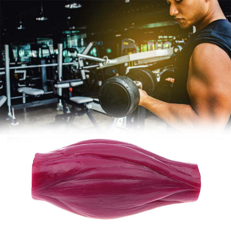 1lb Muscle para Manter a Forma - Nutrition For Fitness Course avaliação e preço